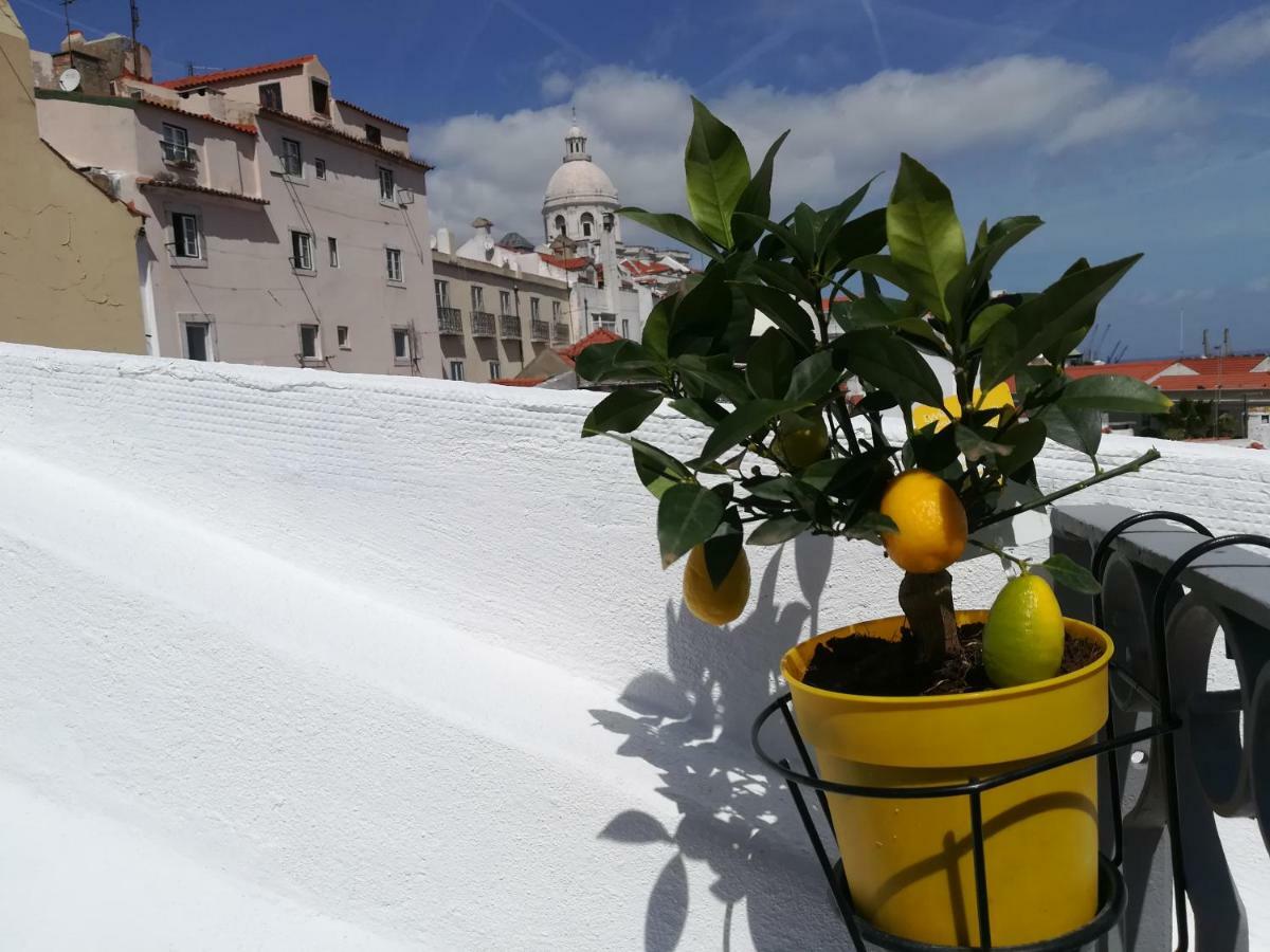 Little River View Triplex In Alfama Лиссабон Экстерьер фото